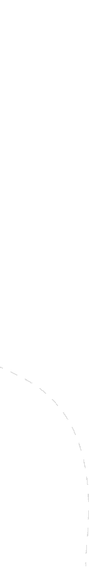 Vector